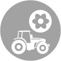 Darum zum Frühjahr - Kreidekalk & Schwefel